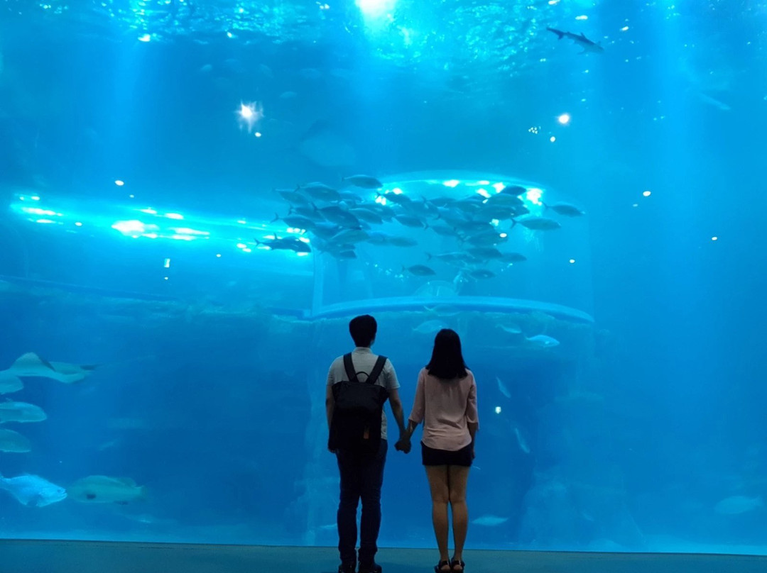 Aqua Planet Yeosu-丽水市必去景点