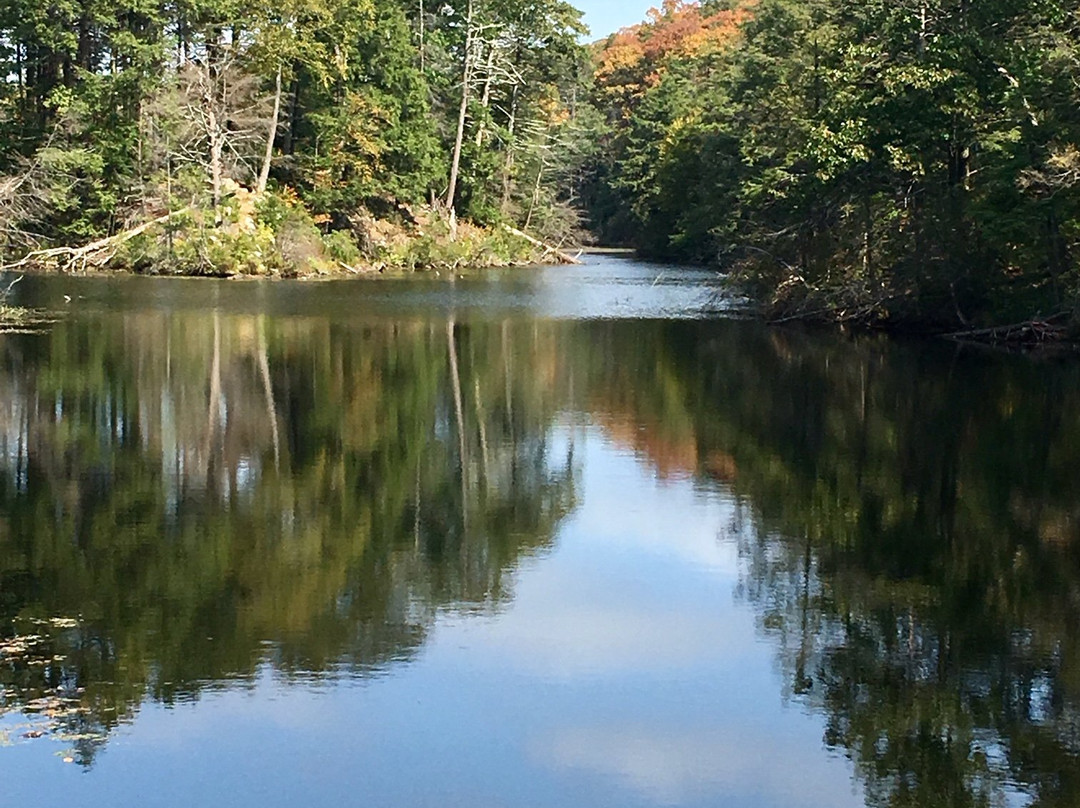Fahnestock State Park景点图片
