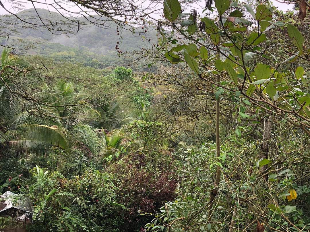 Animal Farm & Nature Reserve-蒙特戈贝必去景点