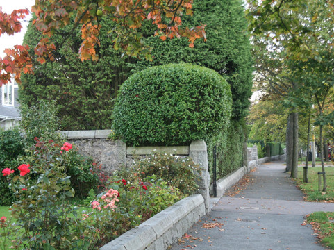 Tesla Hire Aberdeen-阿伯丁必去景点