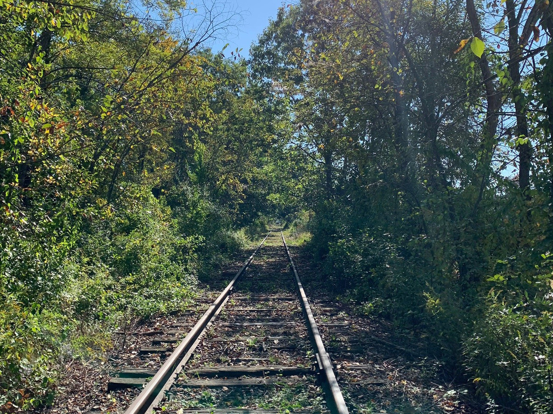 Scenic Railriders景点图片