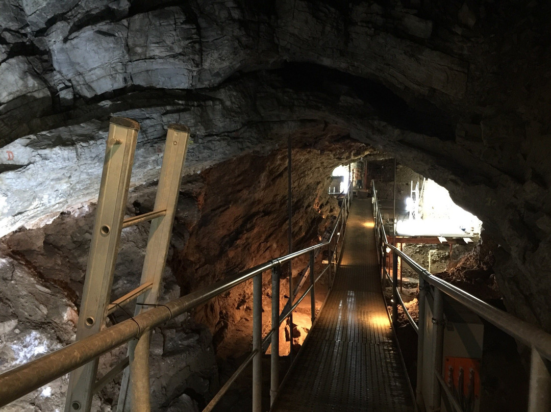Grotte Scladina (Centre archéologique)景点图片