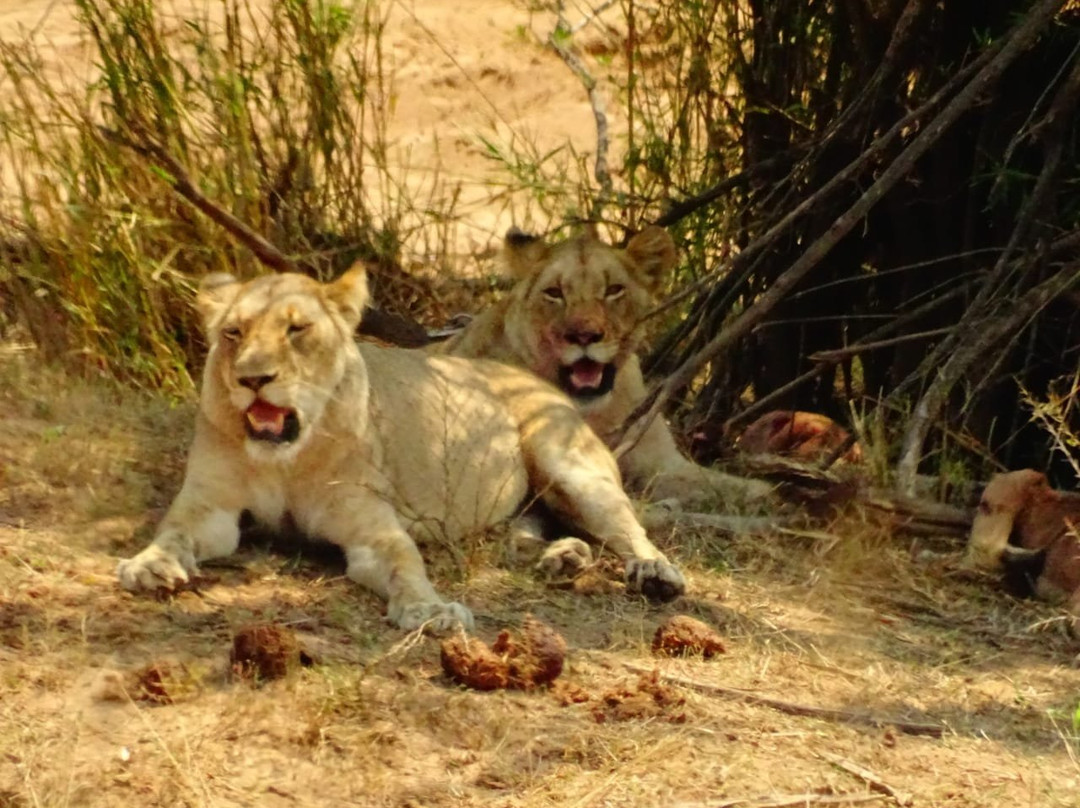 Kruger Gate Guest House主图