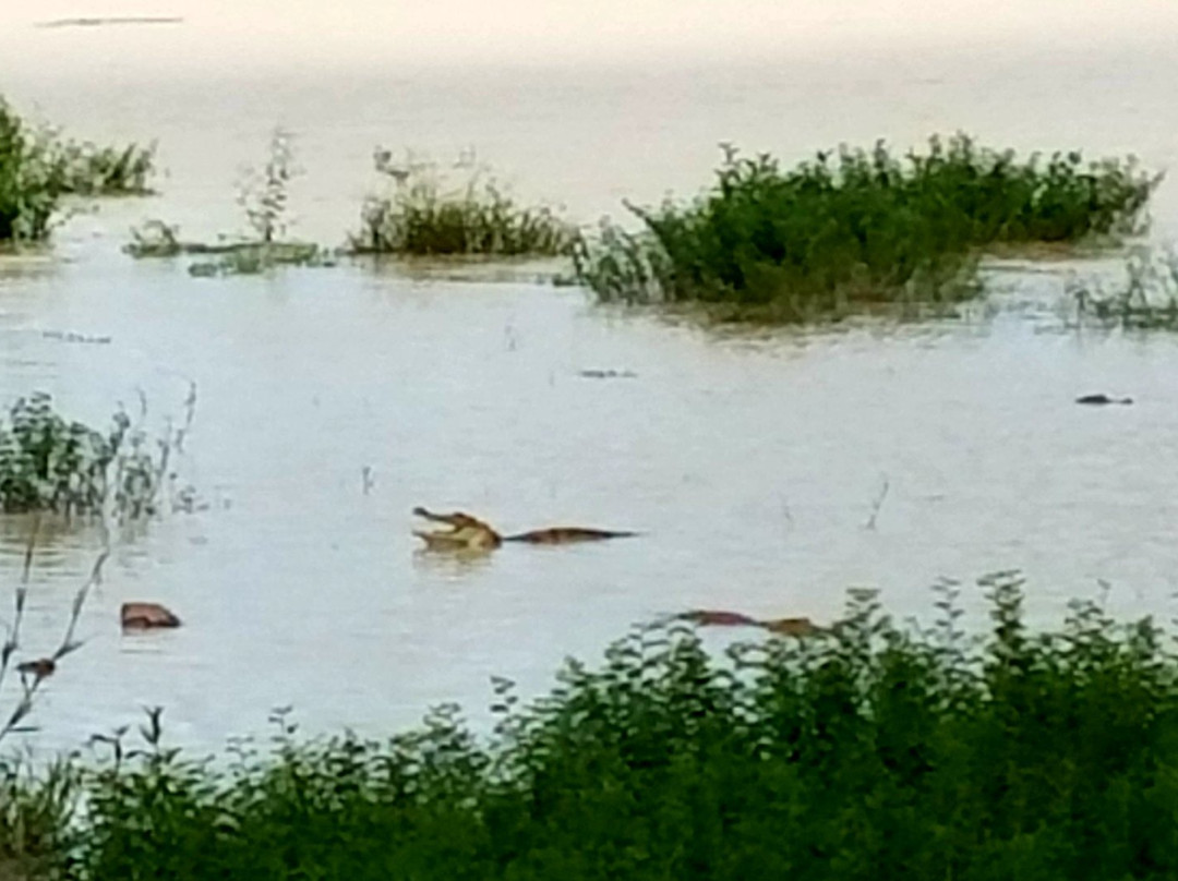 Parc Crocodile de Bazoule景点图片
