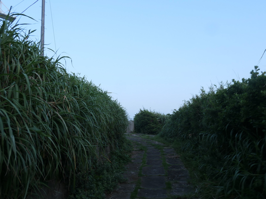 Tsurugizaki Lighthouse-三浦市必去景点