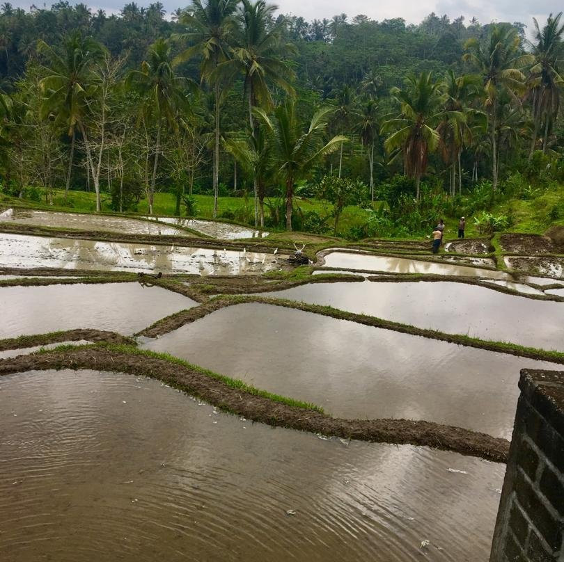 Kedisan Resort & Resto Apung主图