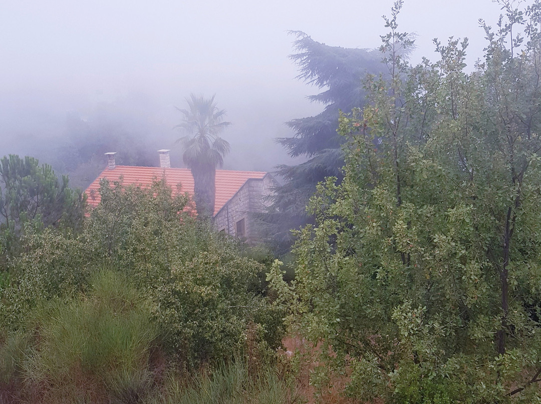 Grand Hotel Naas主图