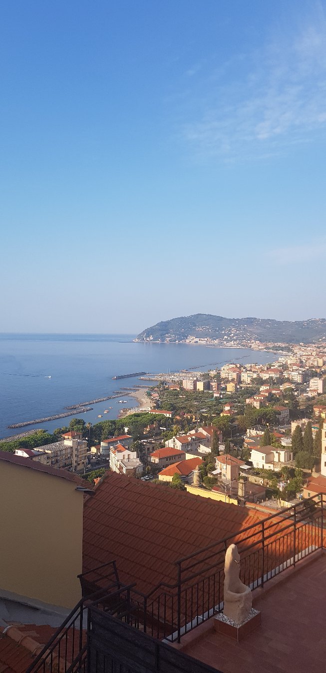 B&B Corallini-官方