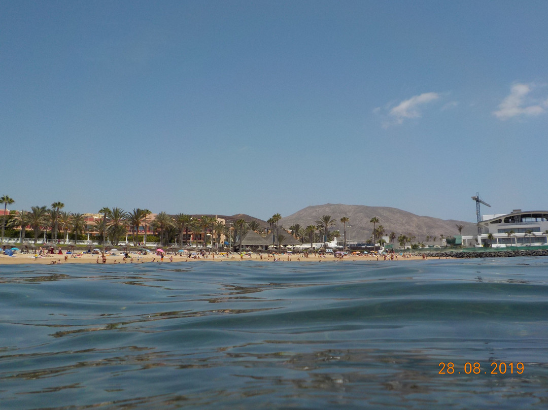 Playa del Camison景点图片