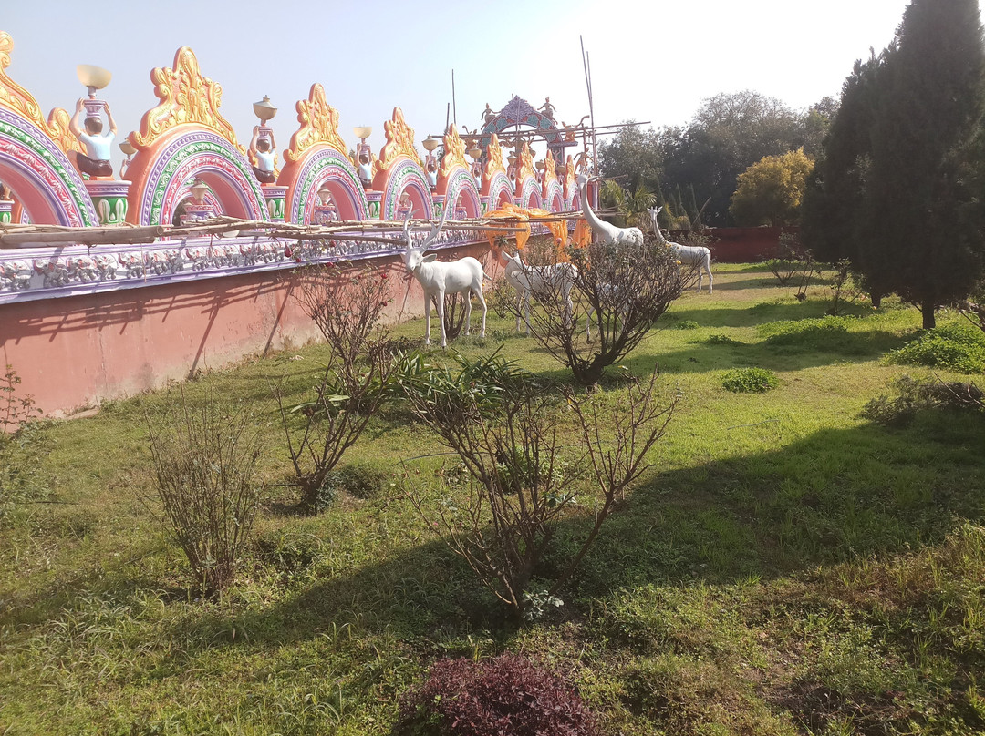 Shri Pindori Dham Temple景点图片