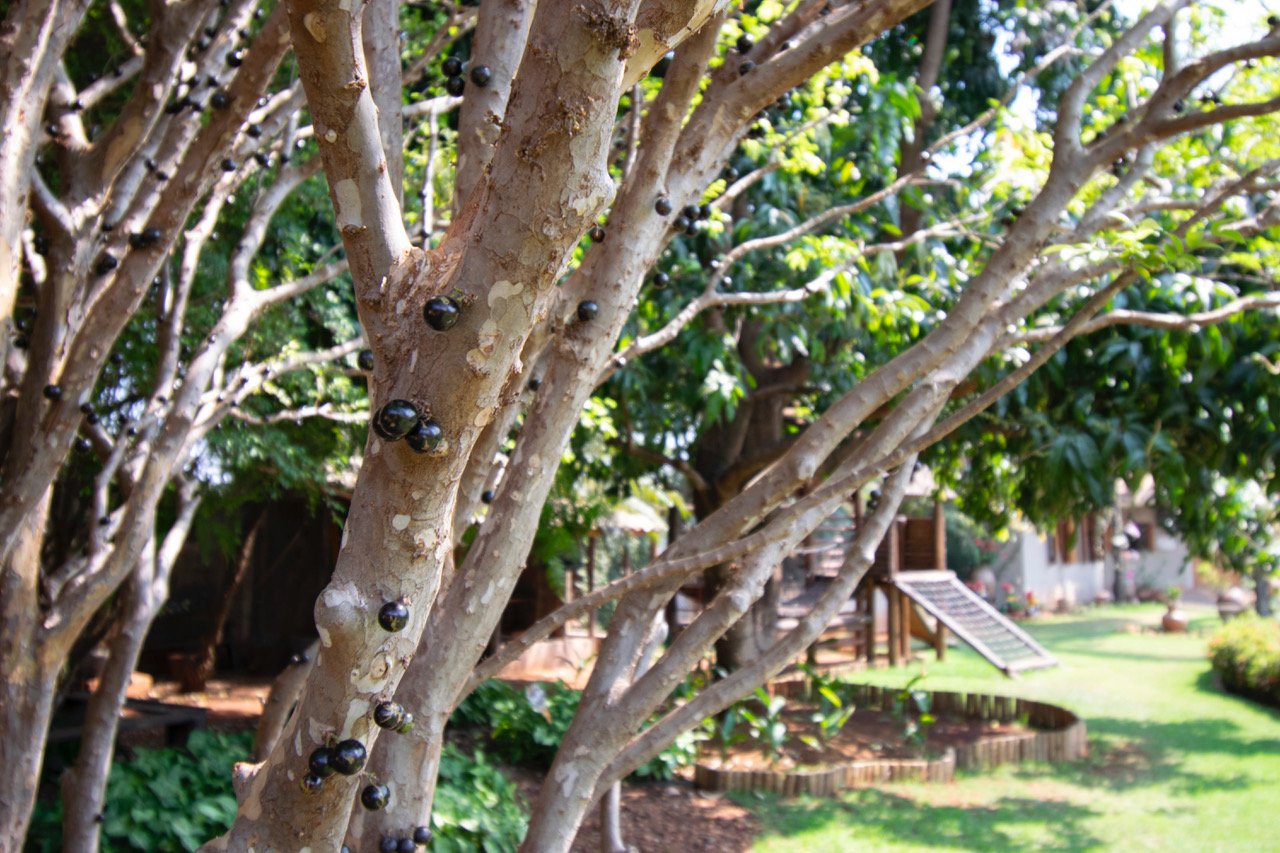 Hotel Pousada Chale das Flores-家庭/游戏区