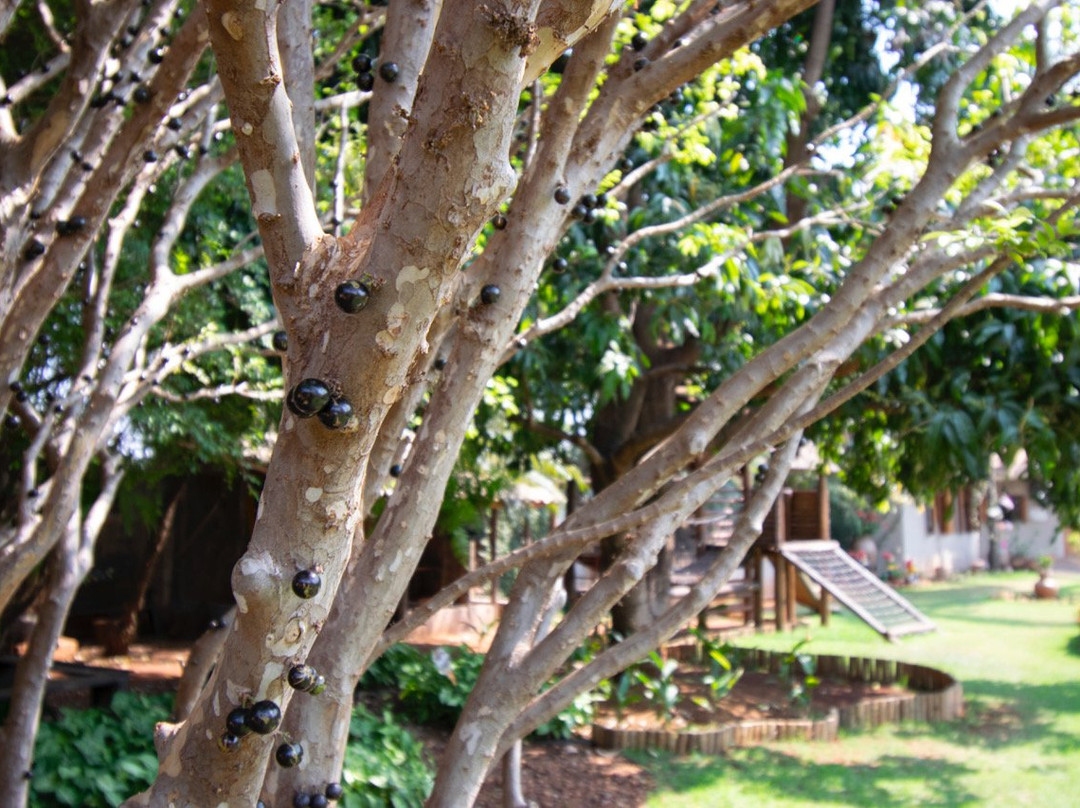 Hotel Pousada Chale das Flores主图