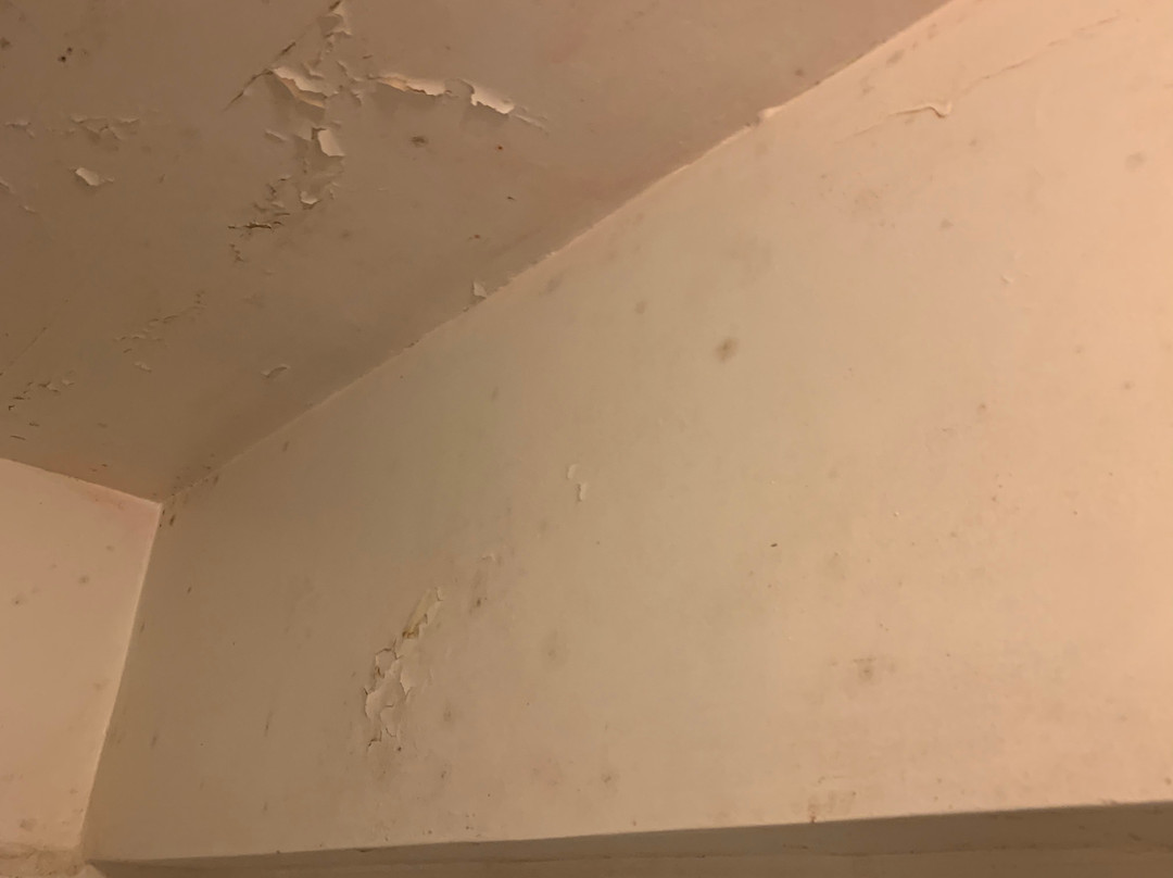 Inkas Machupicchu Inn主图