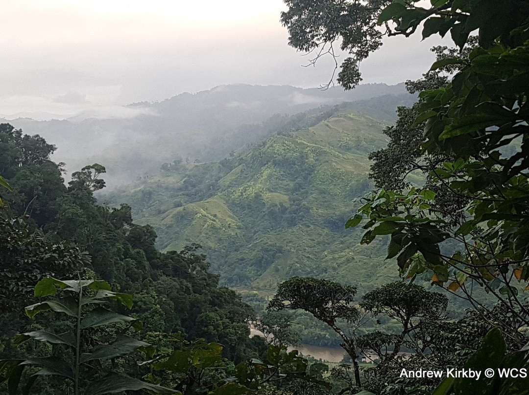 Makira Natural Park景点图片