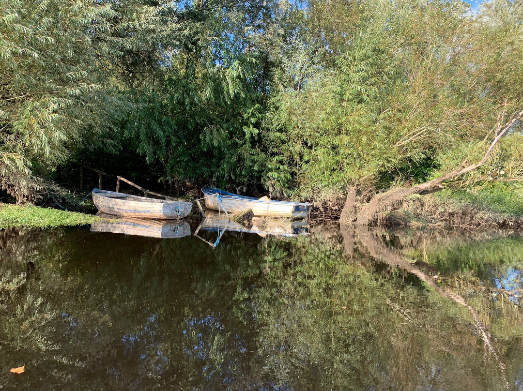 Blackwater Boating-Cappoquin必去景点