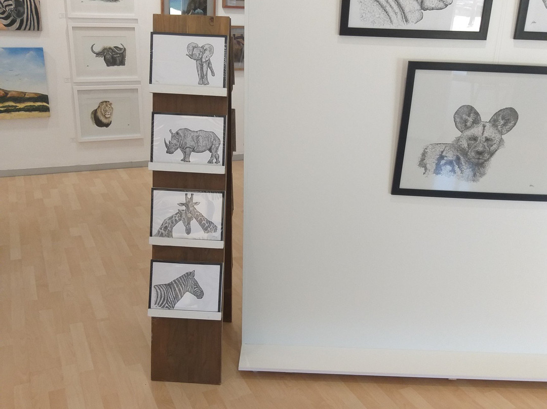 Into The Kruger Wildlife Gallery-白河必去景点