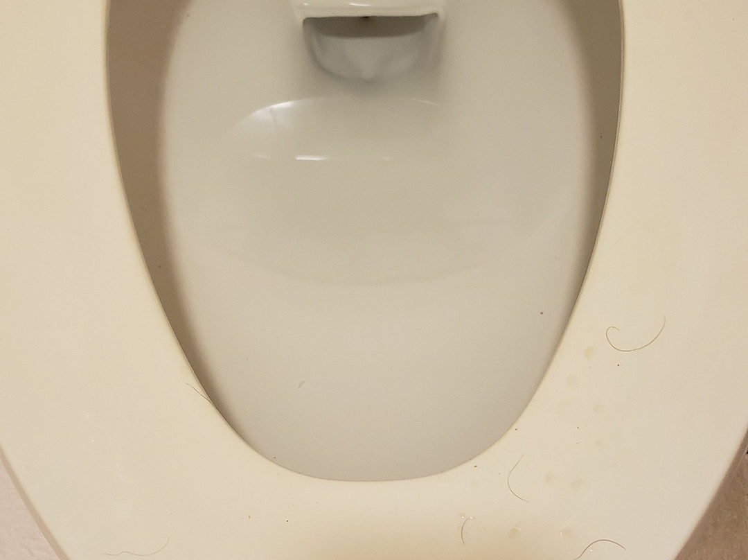 纽伯格希洛套房酒店主图