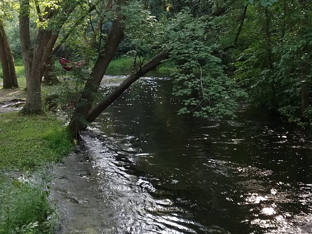 Moir Park-布卢明顿必去景点