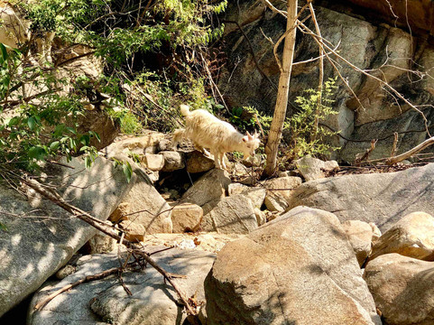 密云龙云山-北京市必去景点
