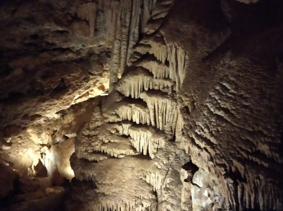 Cueva de Don Juan景点图片