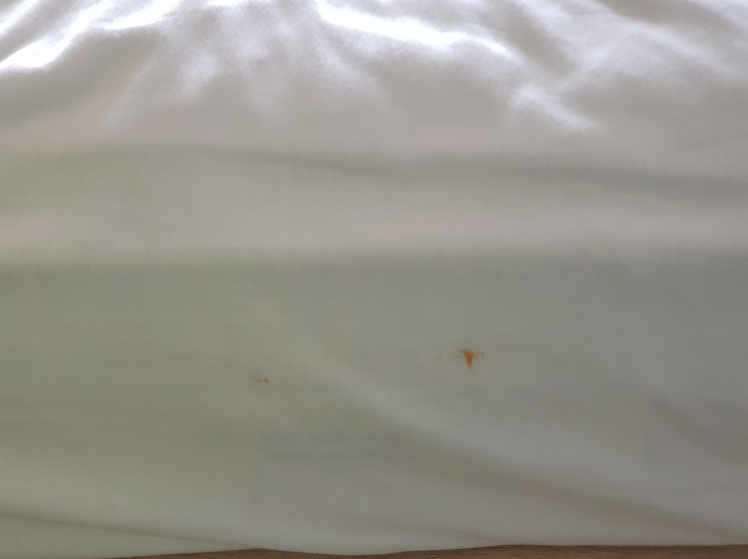 Lemo Hotel Serpong主图