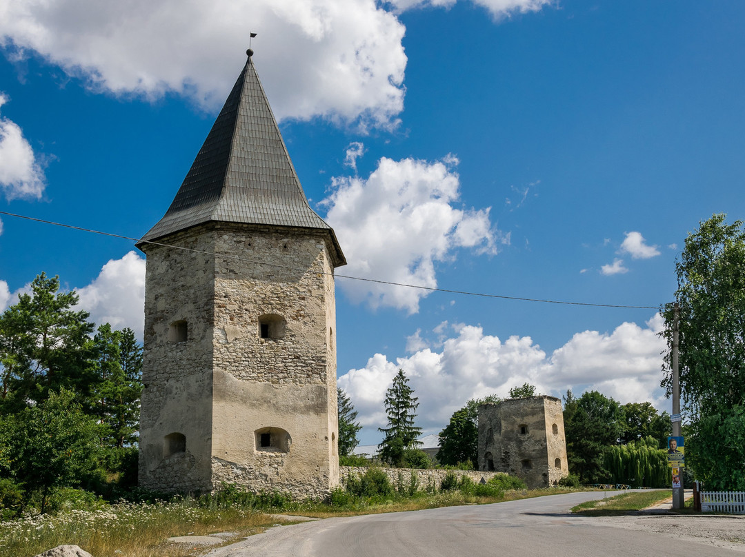 Castle Ruins at Kryvche-Kryvche必去景点