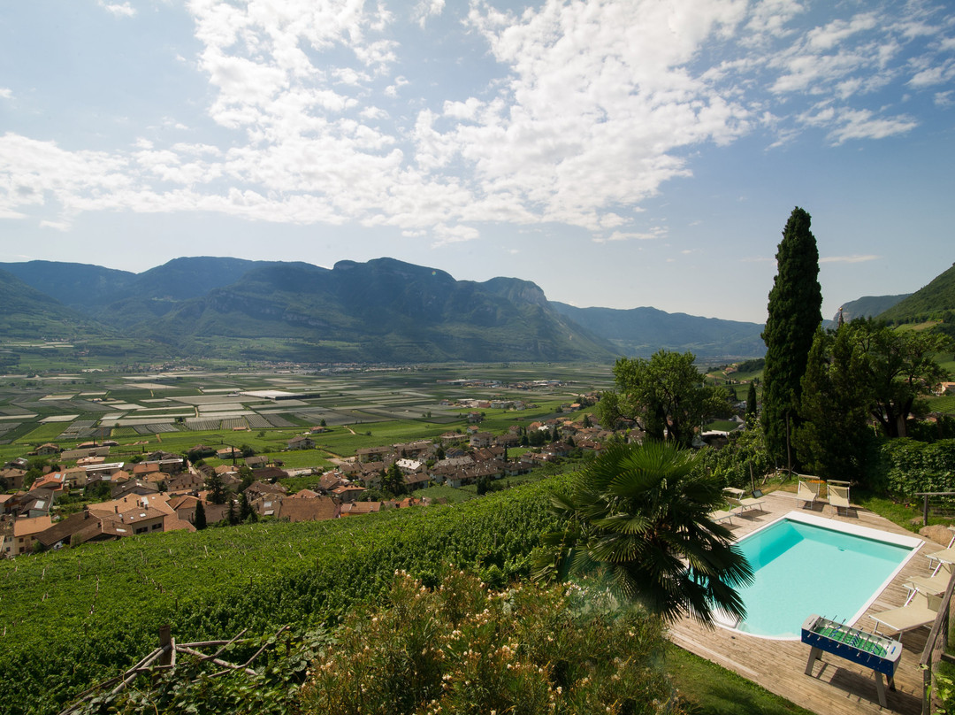 Panorama Tramin主图