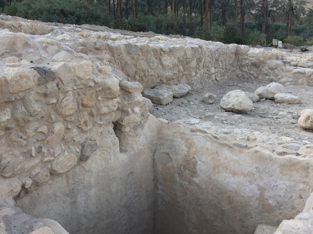 Ein Gedi Synagogue-恩戈地必去景点