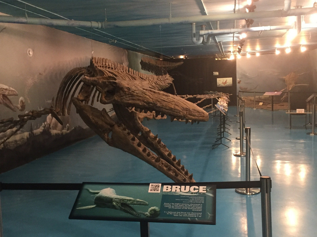 Canadian Fossil Discovery Centre-Morden必去景点