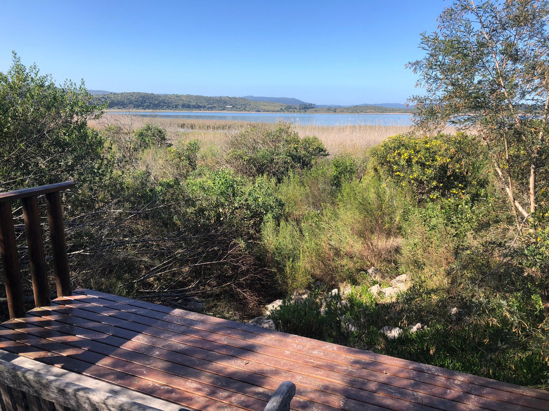 Reflections Eco Reserve主图