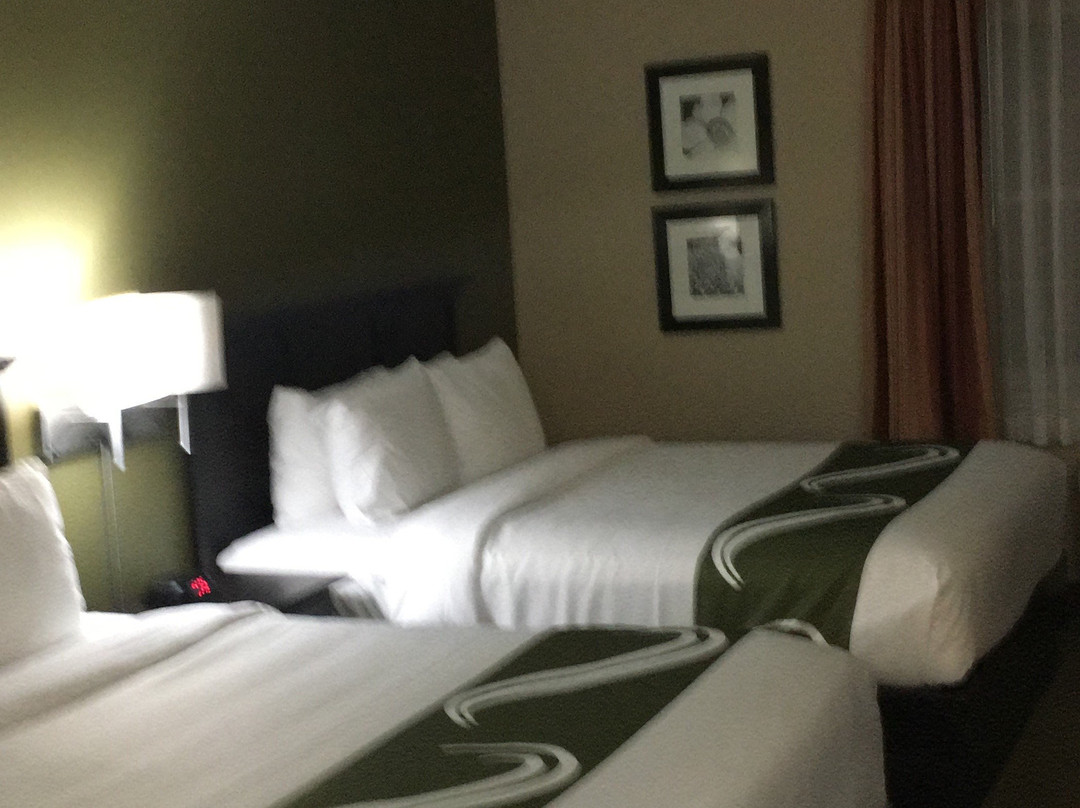 Quality Inn & Suites Quispamsis主图