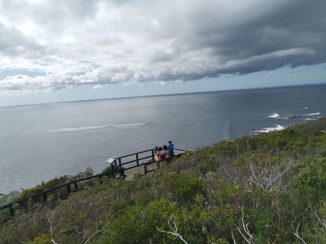 Cape Naturaliste Walking Trails景点图片