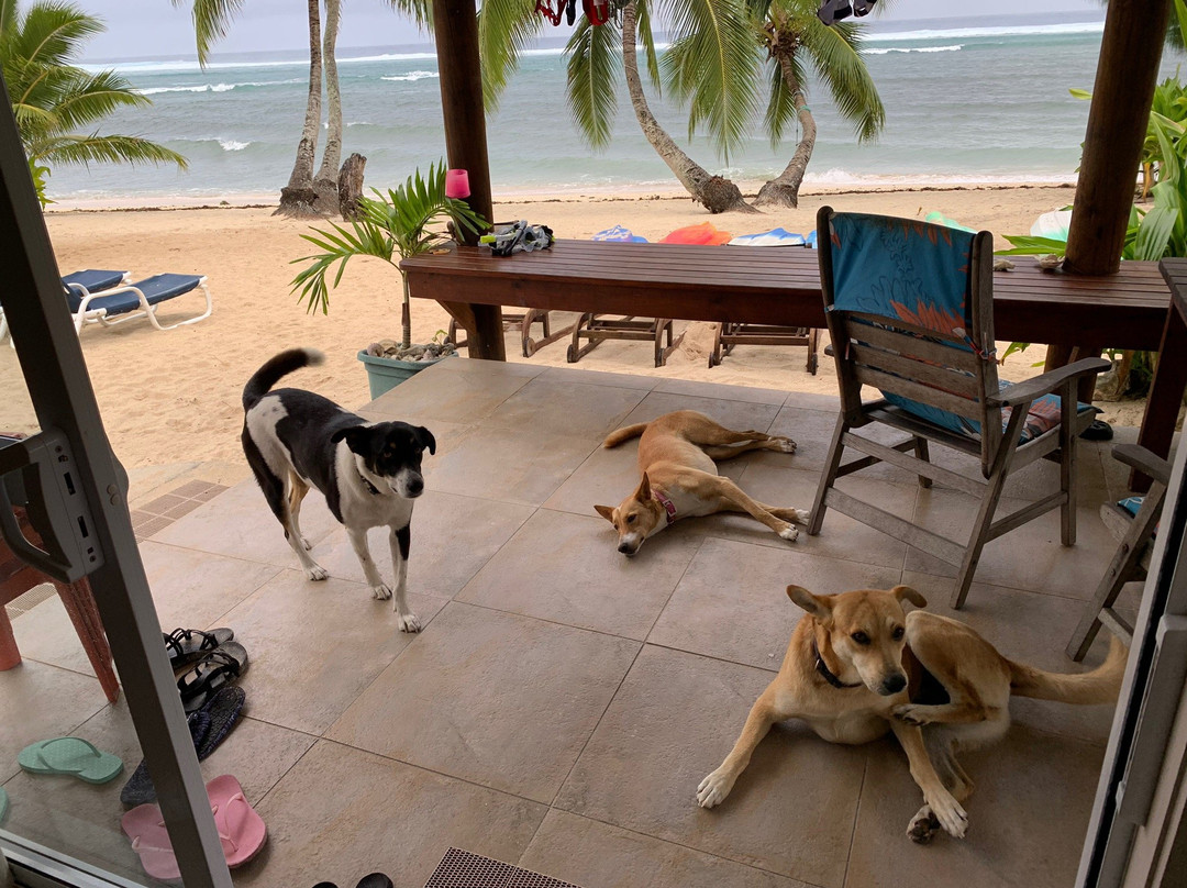 Vaiakura Holiday Homes