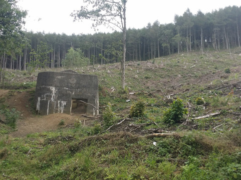 Guisborough Forest & Walkway Visitor Centre-Guisborough必去景点