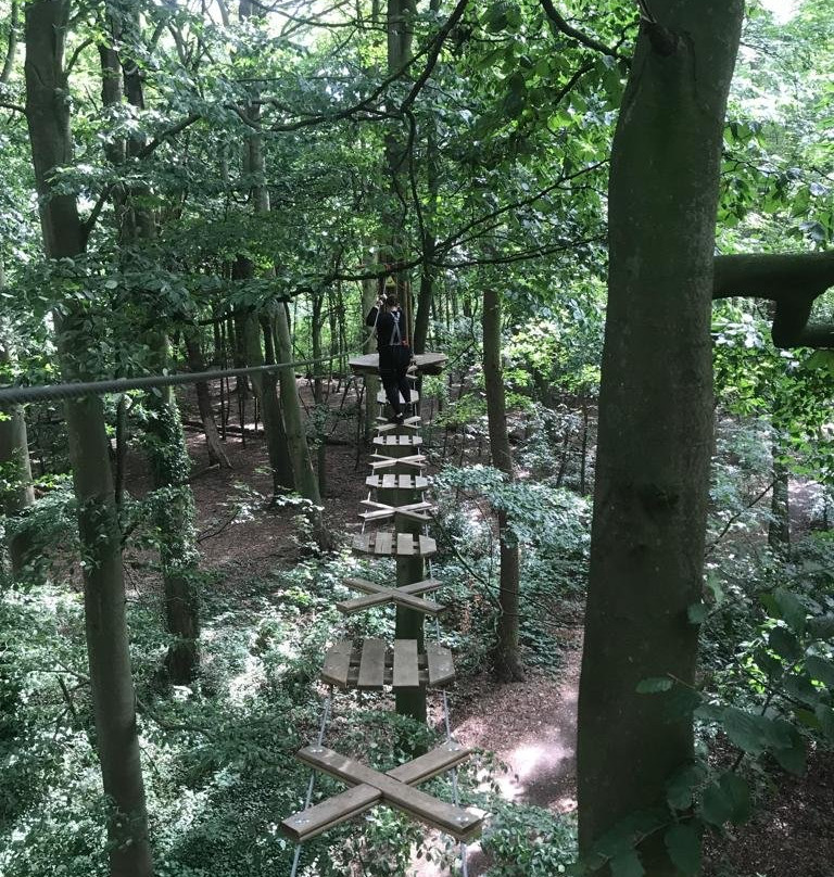 Go Ape Normanby Hall景点图片