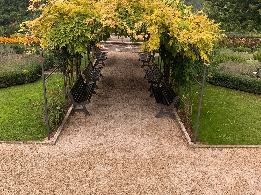 Giardino Botanico - Orto dei Semplici景点图片