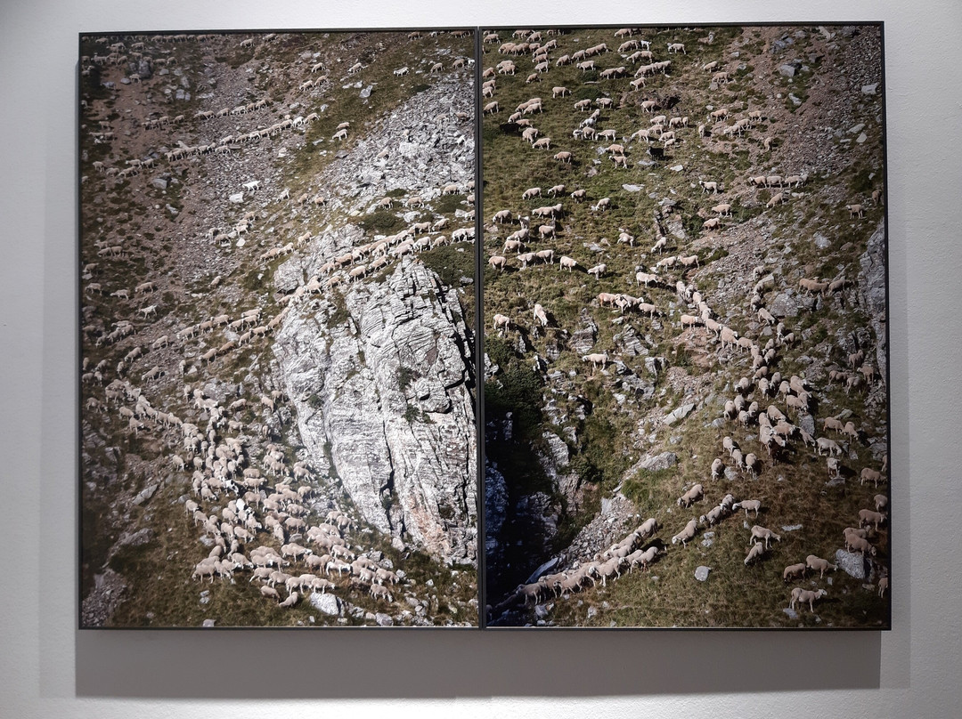 Centro De Arte Contemporaneo Can Sisteré景点图片