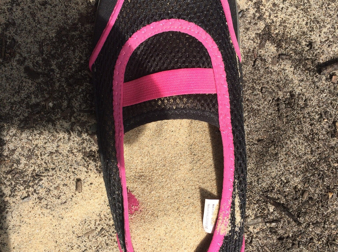 Grand Mere State Park-Stevensville必去景点