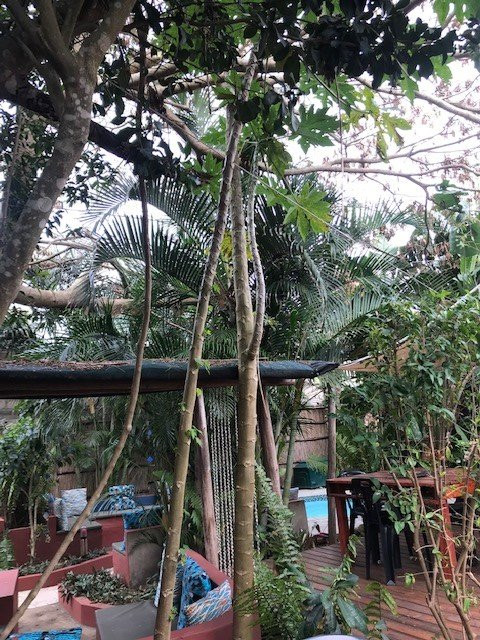 Gala Gala Eco Resort主图