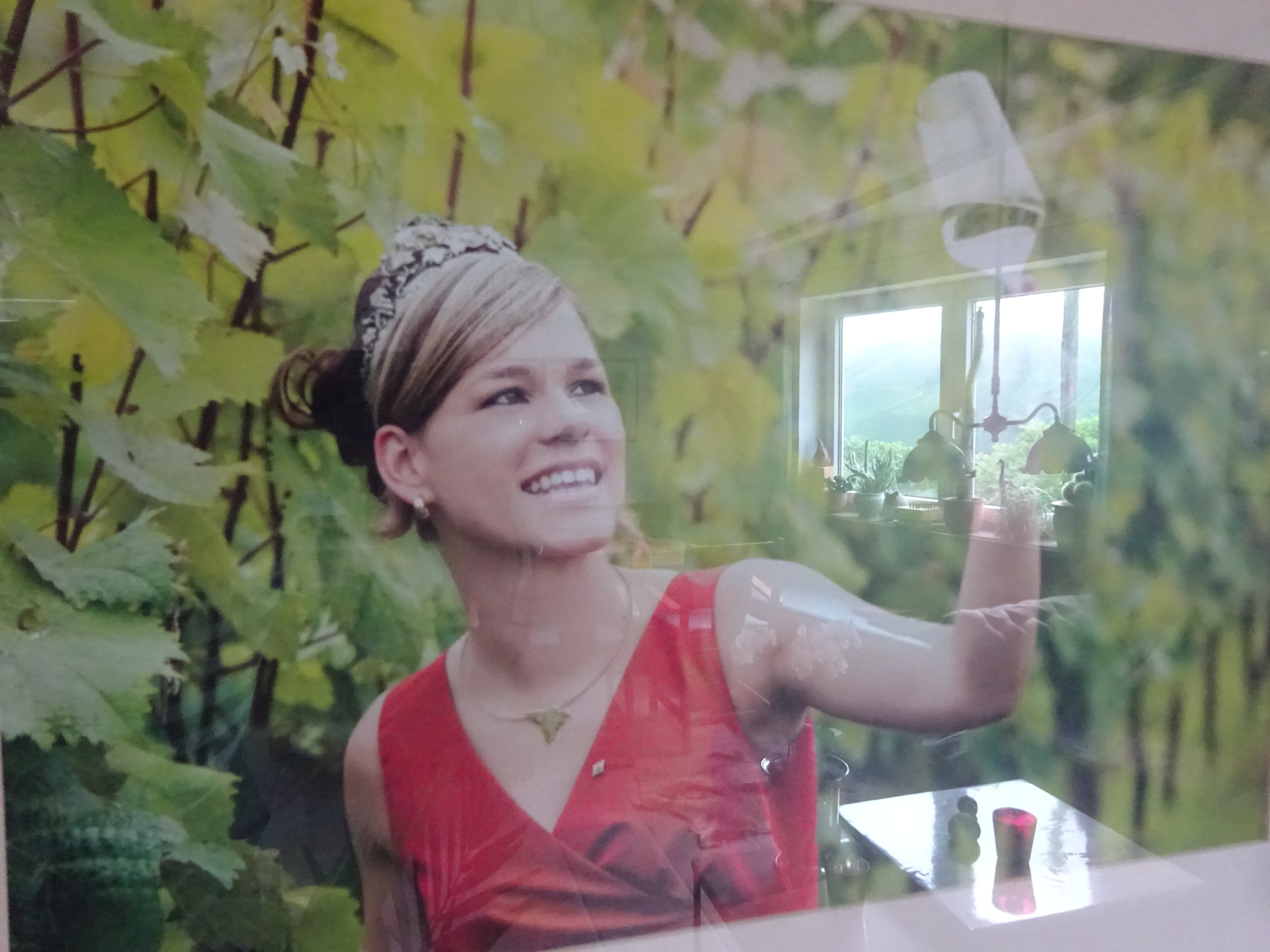 Weingut Brennerei Gastehaus Dauns-餐饮