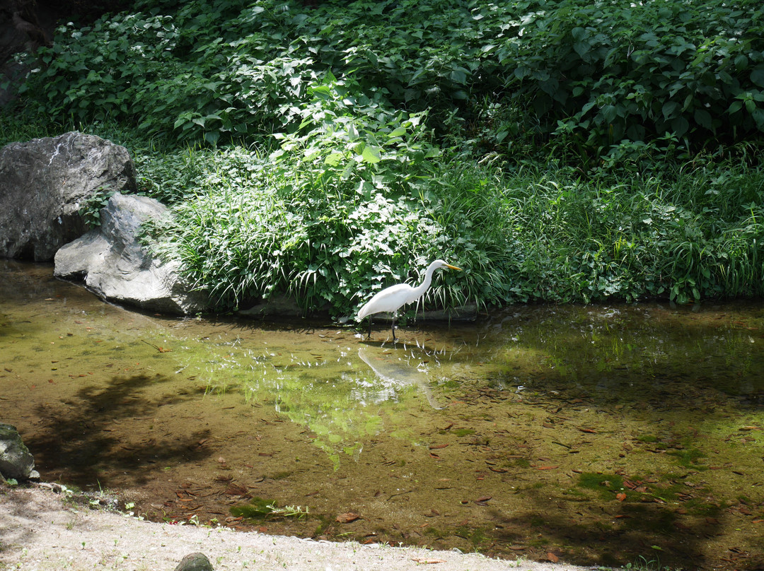 Tokushima Chuo Park景点图片