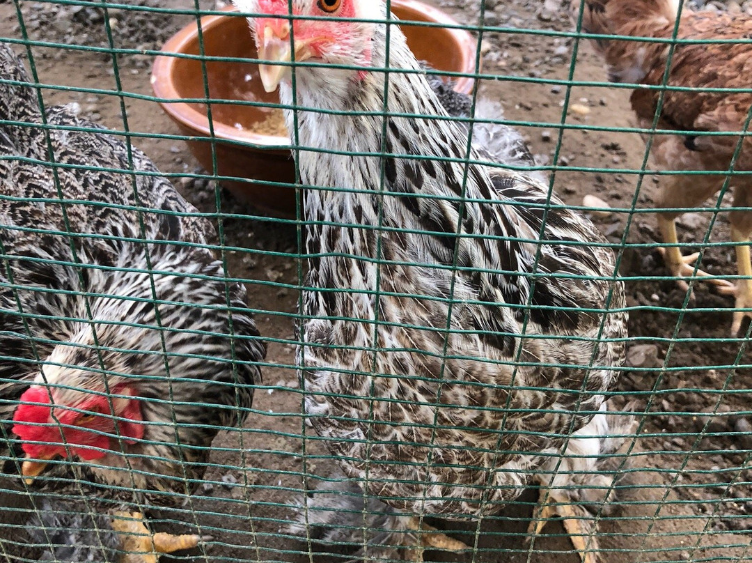 VH Green Nature Park-古晋必去景点