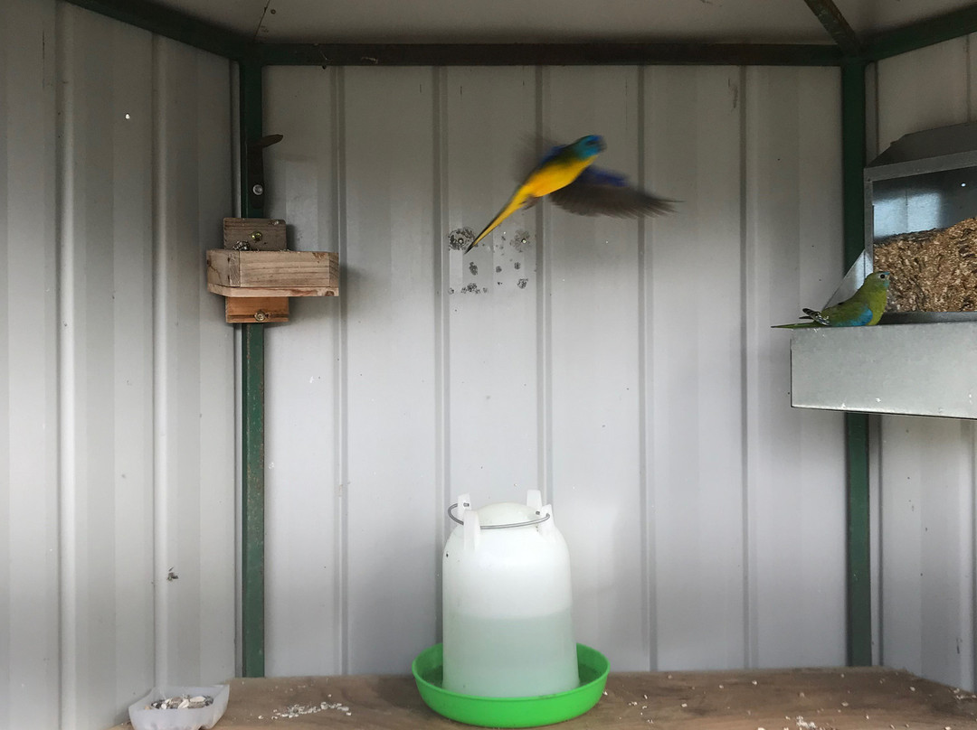 Avoca River Walk-Charlton必去景点