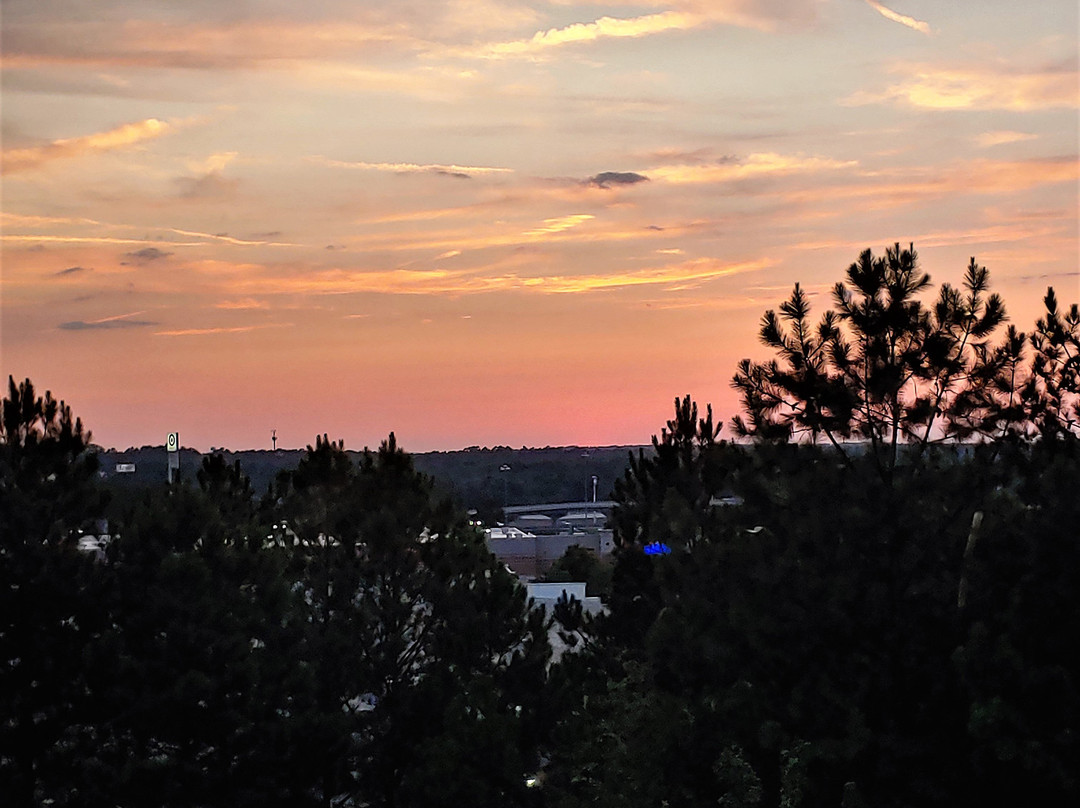 Home2 Suites By Hilton Augusta,GA主图