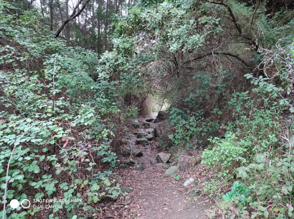 Quebrada de Cordoba-El Tabo必去景点