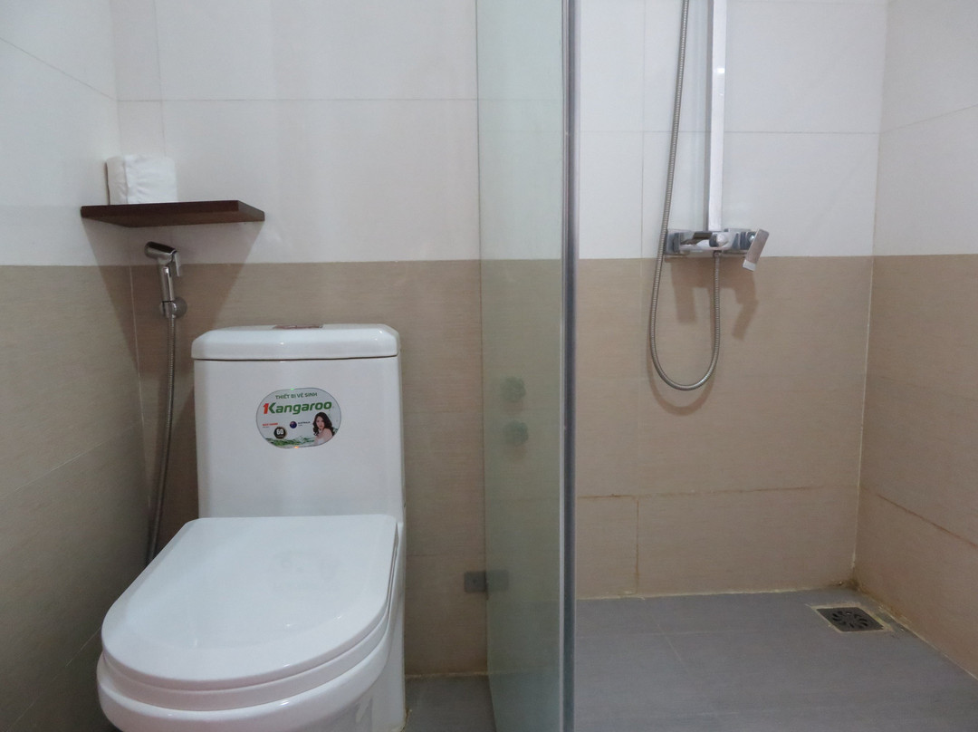 Vip Sapa Hotel主图