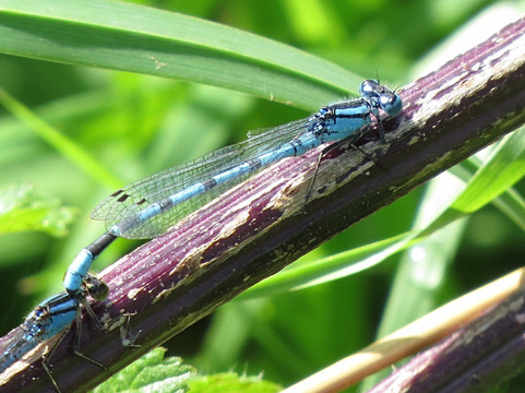 Deeping Lakes-Deeping St James必去景点