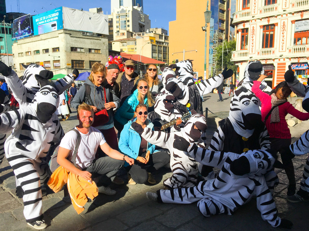 Bolivia Walking Llama-拉巴斯必去景点