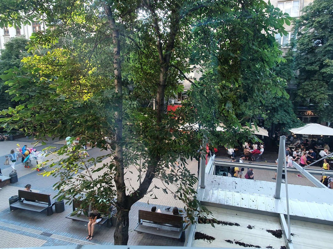 鲜花精品酒店主图