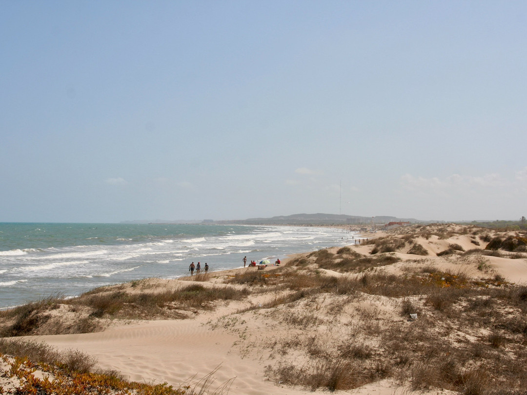 Playa Del Pinet景点图片
